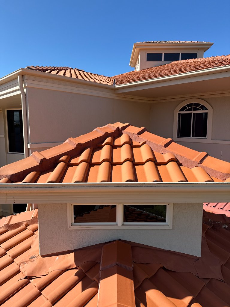Roof Cleaning after