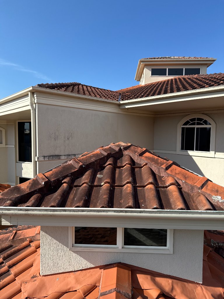 Roof Cleaning before